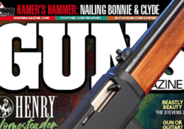 Guns Mag